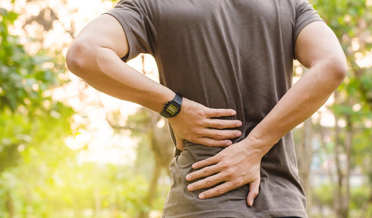 What Causes Low Back Pain?